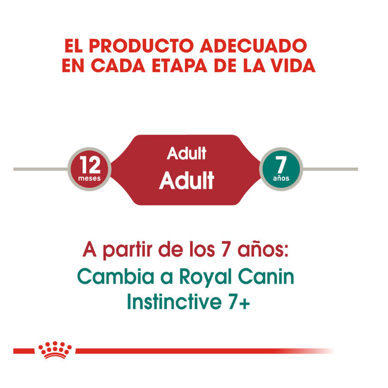 Royal Canin Instinctive paté sobre para gatos, , large image number null